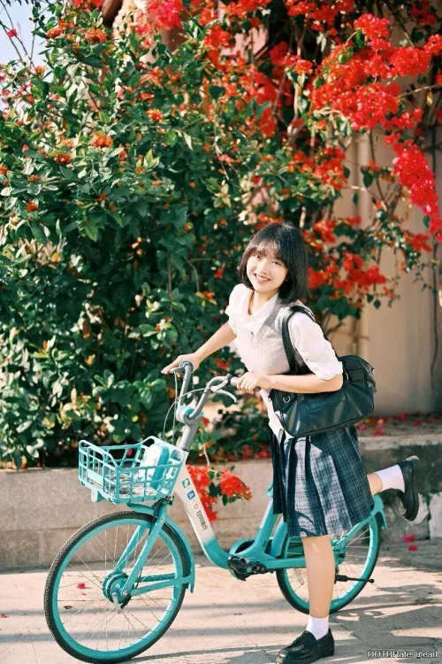 Classic Plaid Skirt and Waistcoat Ensemble with Timeless Accessories