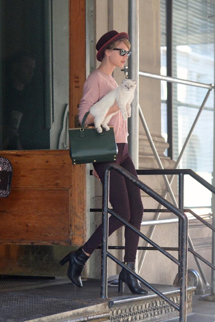 Taylor Swift in pink sweater and burgundy pants with beret and white cat